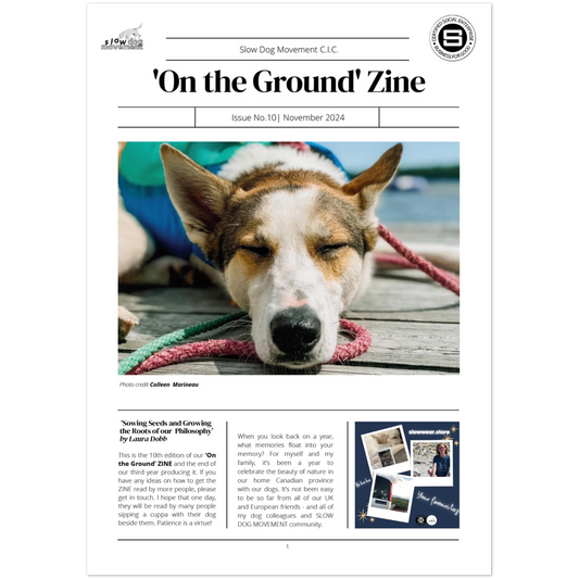 0d2f3079-0f58-4d2e-9e0f-11989e7a430f