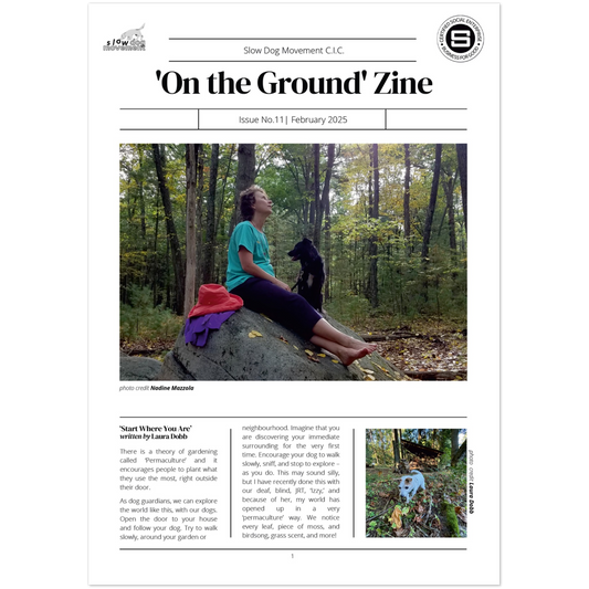 10b4fff9-257c-4e0d-8655-a93f48464693