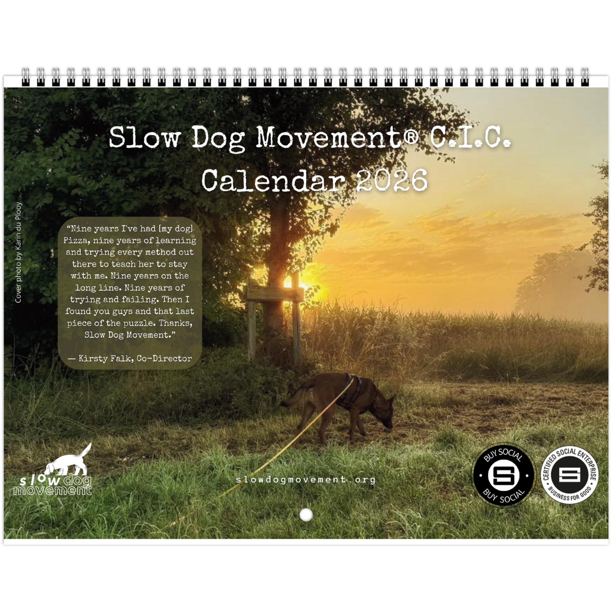 6f390711-21bf-40d9-8445-4fe76d836e99