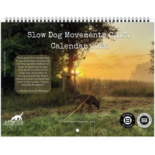 6f390711-21bf-40d9-8445-4fe76d836e99