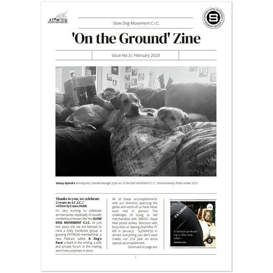 'On the Ground' ZINE - Issue No. 3 (February 2023)