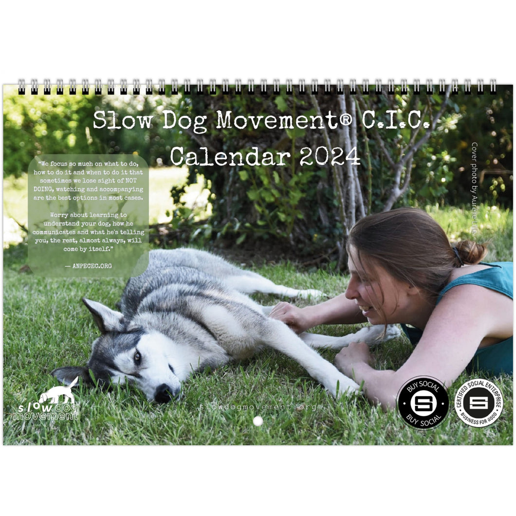 Slow Dog Movement Fan Calendar 2024