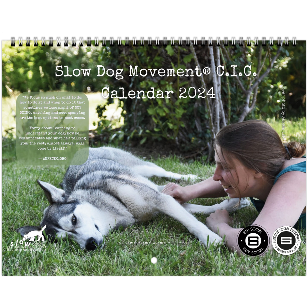 Slow Dog Movement Fan Calendar 2024 (US & CA)
