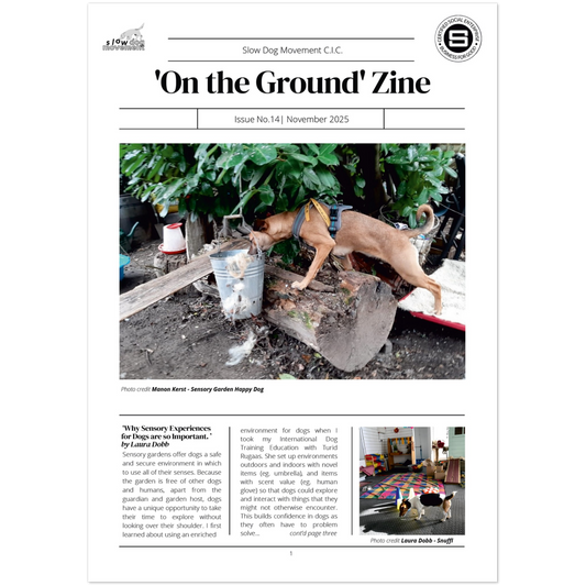 b15c7fb0-cb1b-4d49-831c-a89f1be1d62a