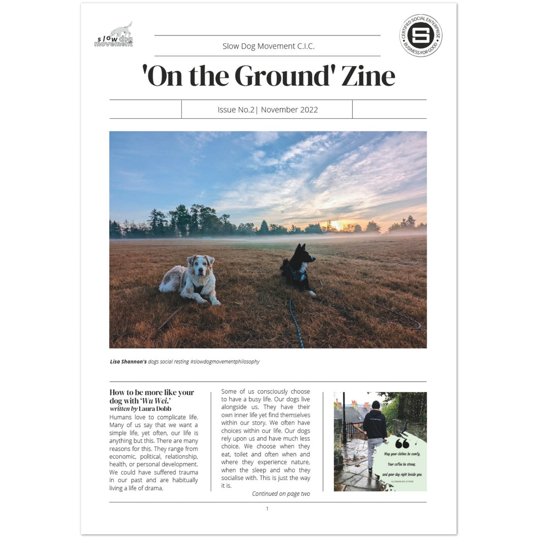Slow Dog Movement Limited Edition ZINE 'On the Ground' - Issue No. 2 November 2022