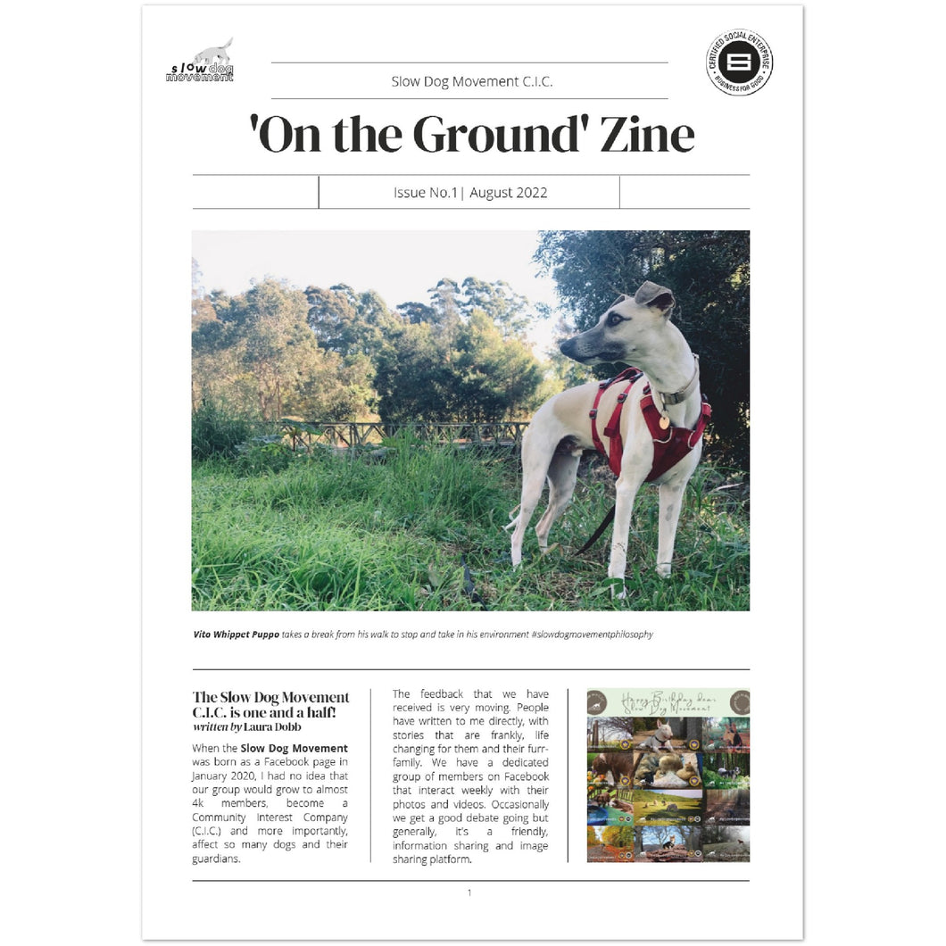 Slow Dog Movement Limited Edition ZINE 'On the Ground' - Issue No. 1 August 2022